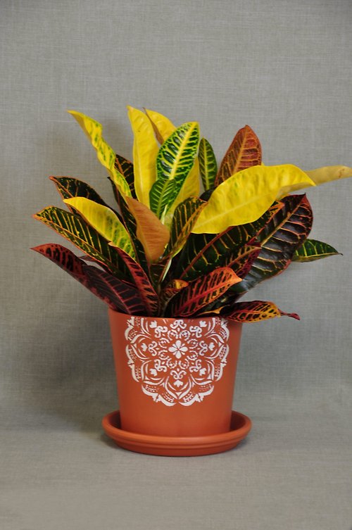 PL1011 Croton/Artisan Planter