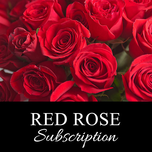 Monthly Romance in Red Roses Subscription