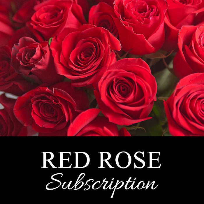 Monthly Romance in Red Roses Subscription