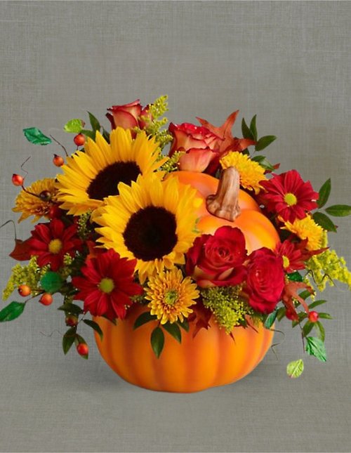 TH1010 Spiced Pumpkin