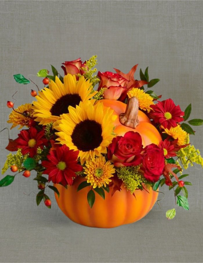 TH1010 Spiced Pumpkin