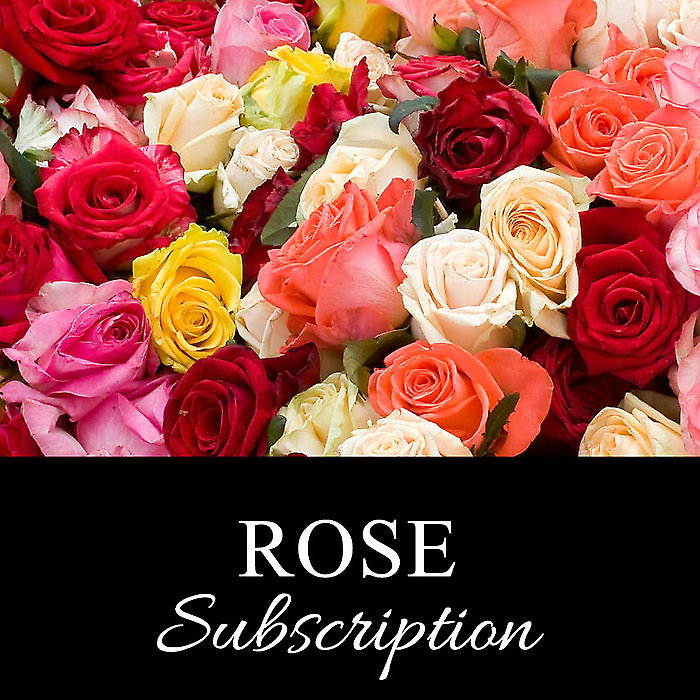 Monthly Romance in Red Roses Subscription