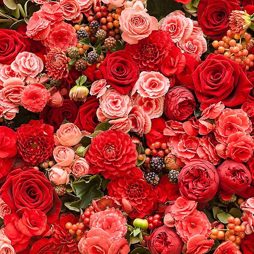 Anniversary & Romance