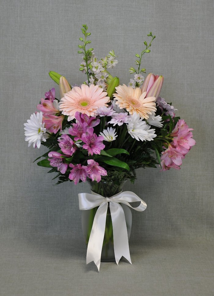 Gerbera Daisey Mix