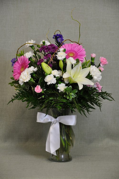 Gerbera Daisey Mix