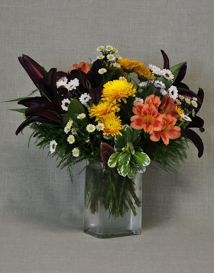 TH1006 Asiatic Lily Fall Mix
