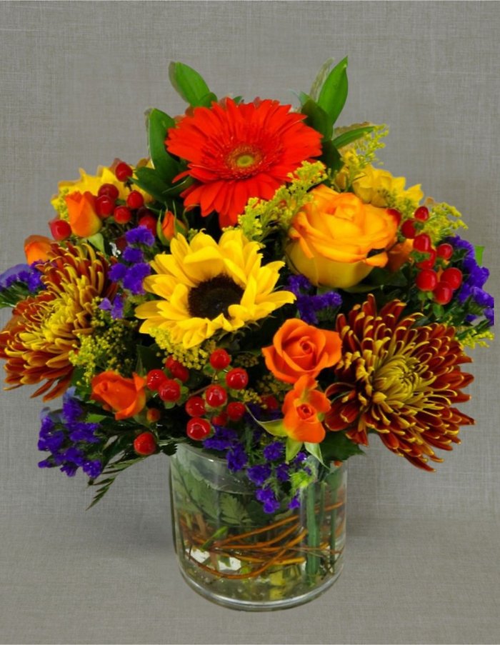 TH1011 Autumn Symphony